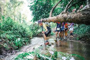 BIB: 
                            <button type="button" onclick="openModal(25474595)" class="btn btn-primary btn-sm float-right btn-popup" data-toggle="modal" data-target=".modal-high-quality">
                        <i class="fas fa-shopping-cart"></i> Add to Cart
                    </button>
                                            <button type="button" onclick="isThisMe(25474595, true)" class="btn btn-success btn-sm float-right btn-popup btn-isme hidden" data-toggle="tooltip" data-placement="bottom" title="นี่คือรูปของคุณใช่ไหม คลิกที่นี่เพื่อเอาเข้าอัลบั้ม">
                        <i class="fas fa-plus"></i> Add to album
                    </button>
                    <button type="button" onclick="isThisMe(25474595, false)" class="btn btn-warning btn-sm float-right btn-popup btn-isnotme hidden">
                        <i class="fas fa-ban"></i> Remove from album
                    </button>